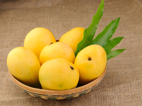 Mangoes in basket/Fresh Mango