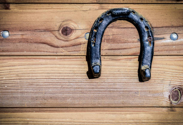 istock Rusty old vintage weathered horseshoe on wooden background. 667446368