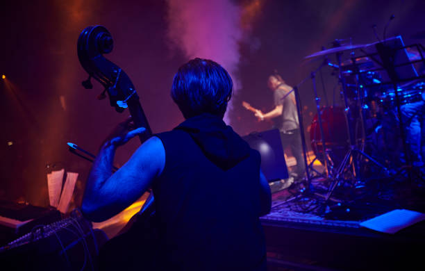istock Orchestra at the rehearsal. 667446806