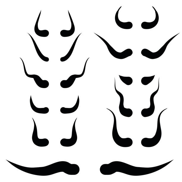 animal horns silhouettes illustration with animal horns silhouettes on white background texas longhorns stock illustrations