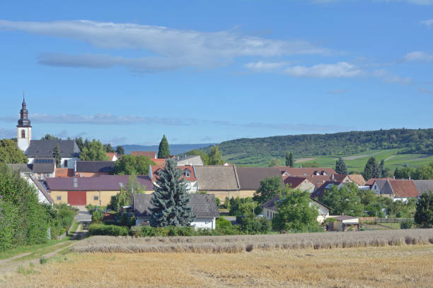 istock Appenheim,Rhinehessen,Germany 667447762