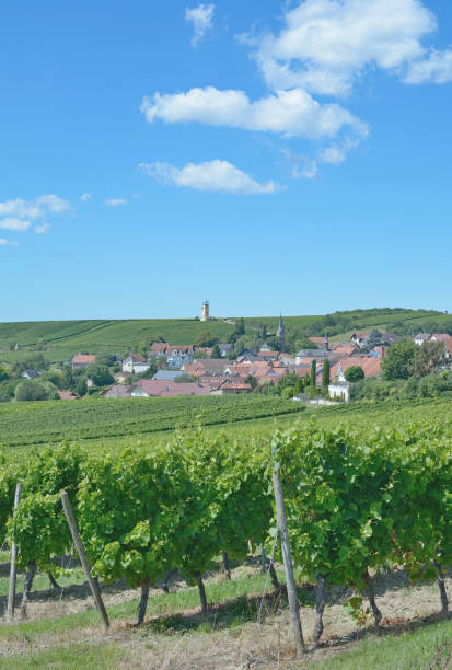 Vendersheim,Rhinehessen,Germany