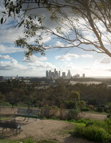 istock Los Angeles Cityscape 667450306