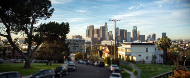 istock View of Downtown Los Angeles from Park 667453428