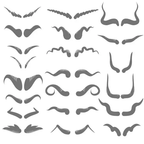 Vector illustration of set of horns