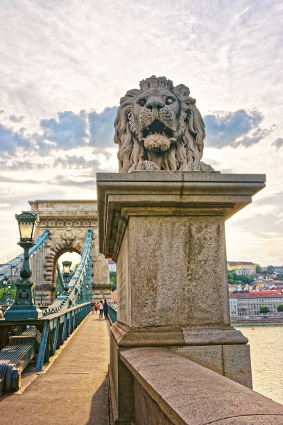 istock Lion sculpture on Szechenyi Chain Bridge Budapest 667458108