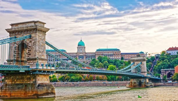 most łańcuchowy nad dunajem i zamkiem buda w budapeszcie - budapest chain bridge hungary palace zdjęcia i obrazy z banku zdjęć