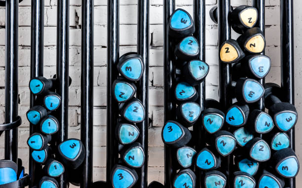 istock Colorful dumbbells in rack 667458508