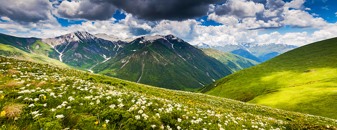 Beautiful view of alpine meadows. Chkhutnieri pass, Upper Svaneti, Georgia, Europe. Caucasus mountains. Beauty world.