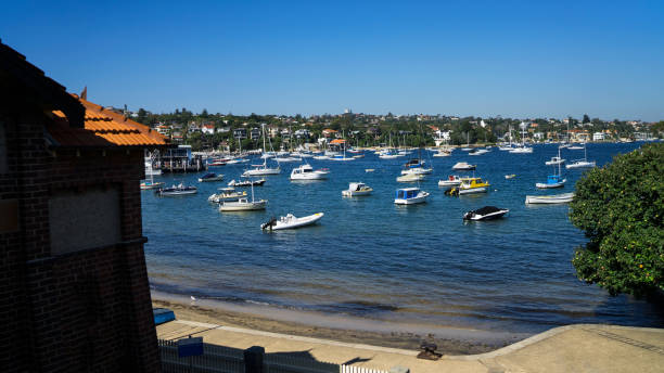 istock Yacht harbor at Sydney suburb 667467564