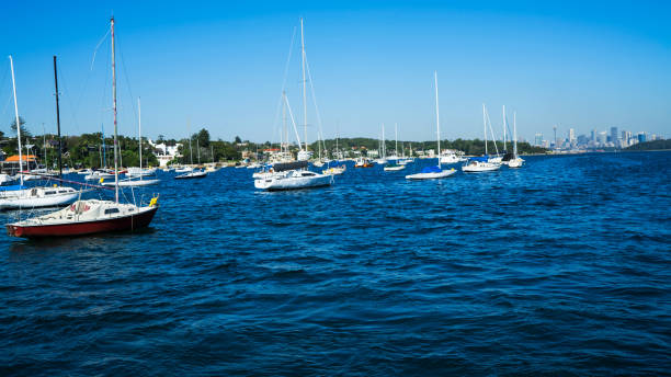 istock Yacht harbor near Sydney mid-town 667467568