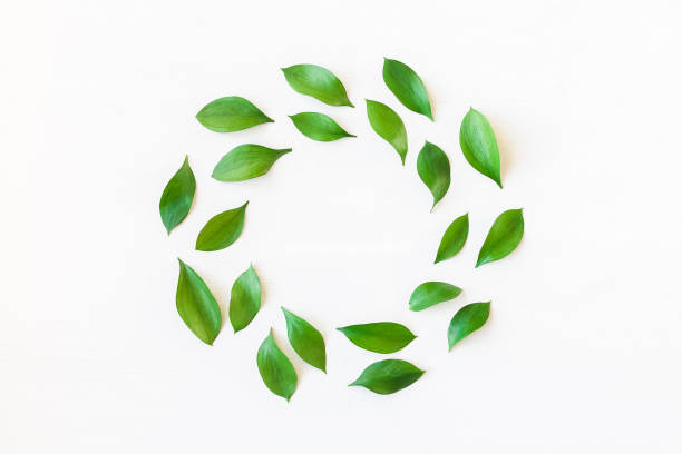 istock Frame made of green leaves. Flat lay, top view 667468182