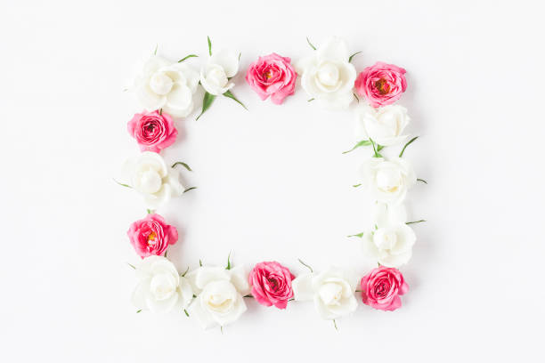 istock Frame made of fresh rose flowers. Flat lay, top view 667470850