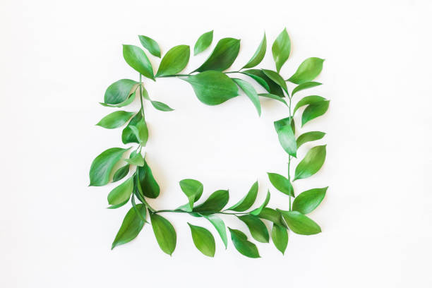 istock Frame made of green leaves. Flat lay, top view 667471836