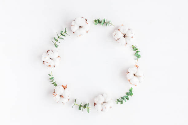 istock Wreath made of fresh eucalyptus branches and cotton flowers 667471880