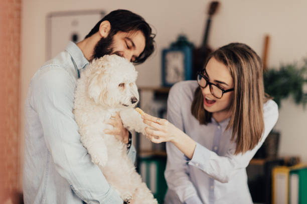 menina bonita alimenta o cão enquanto sujeito barbudo prende-lo - casual teamwork journalist editor - fotografias e filmes do acervo