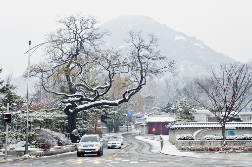 beautiful nature with snow during winter season, South Korea