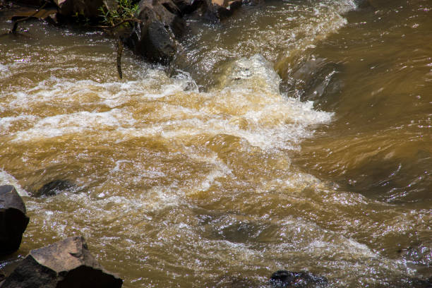 istock Simple River in Rio Grande do Sul, Brazil 667485040