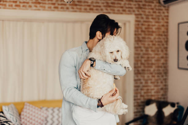 istock Dog owner with his pet 667485786