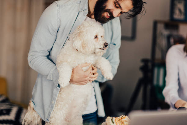 jovem adulto segurando um cachorro que tem a língua para fora - casual teamwork journalist editor - fotografias e filmes do acervo