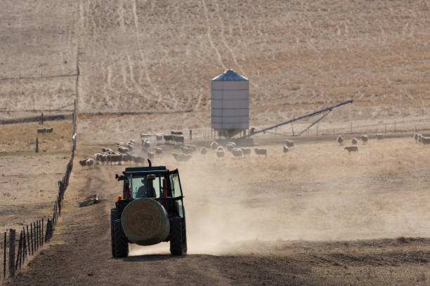 istock A Tractor on a dry Australian Farm 667491824