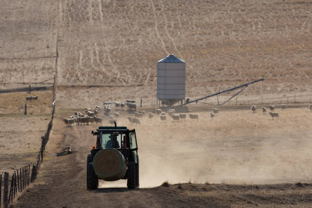 istock A Tractor on a dry Australian Farm 667491900