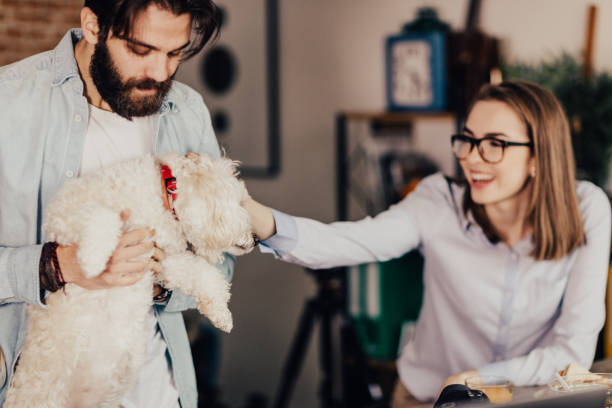 casal mostrando seu amor para um cachorro - casual teamwork journalist editor - fotografias e filmes do acervo