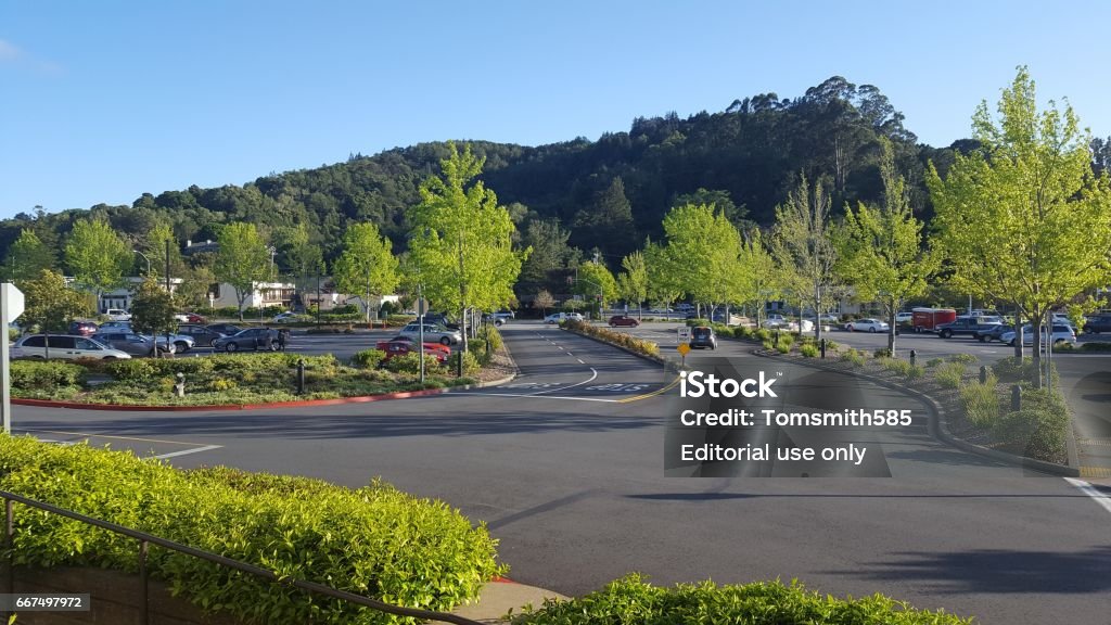 Corte Madera - Foto de stock de Corte Madera royalty-free Corte Madera - Foto de stock de Corte Madera royalty-free