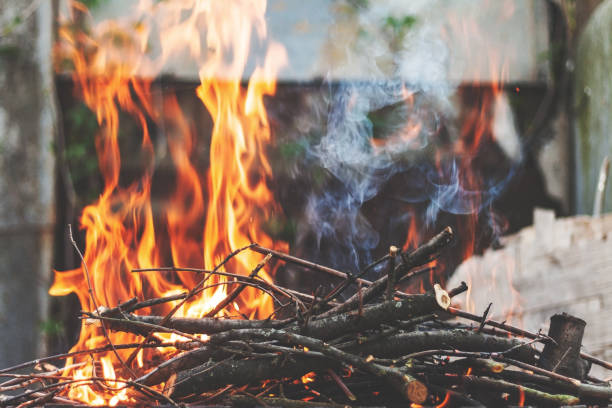 istock Firewood and branches for coals burn out in the brazier. Retro vintage effect 667499280