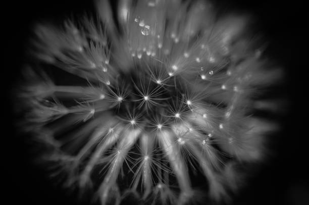 istock The birth of the universe 667519266