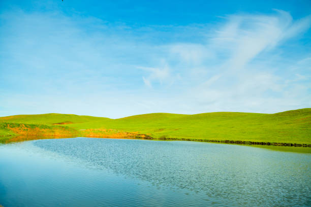 A small reservoir in a ravine on a summer evening