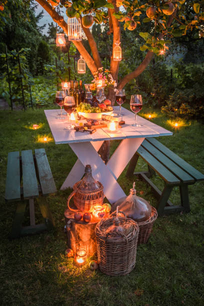 istock Beautiful table in garden ready to supper at dusk 667533192