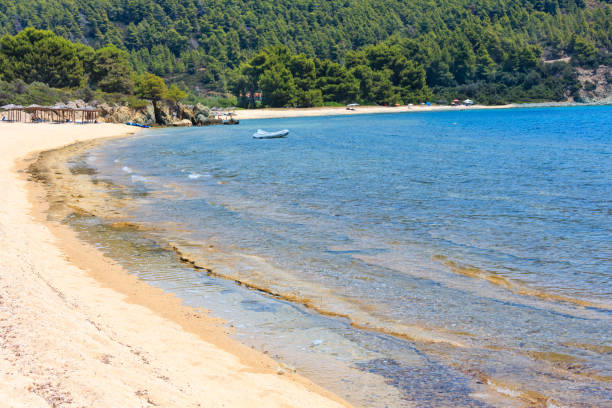 istock Aegean coast, Sithonia, Greece. 667536400