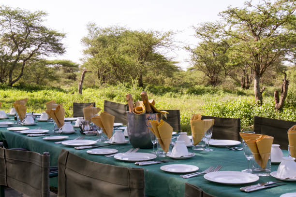 Safari luxury outdoor picnic with African style wooden director chair with wine bucket on table - African outdoor dining in Serengeti savanna forest. Tanzania