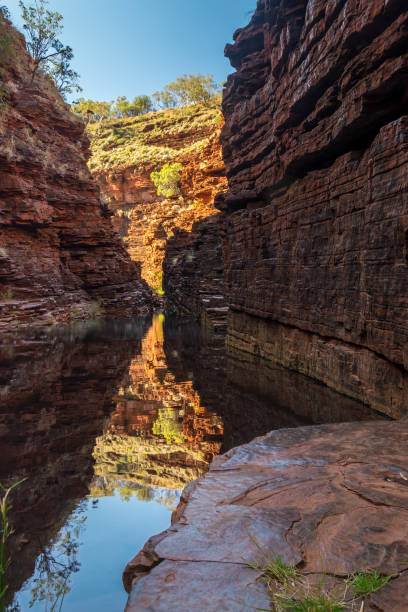 istock Gorge in  Karijini national park, Western Australia 667548508