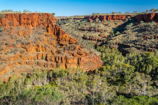 istock Gorge in  Karijini national park, Western Australia 667548518