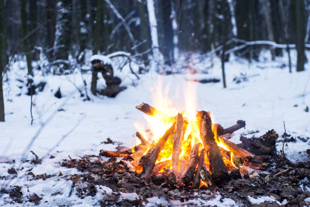 istock Twilight in the forest. Snow around and only campfire lets survive tough time. 667553862