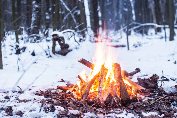 istock Twilight in the forest. Snow around and only campfire lets survive tough time. 667553878