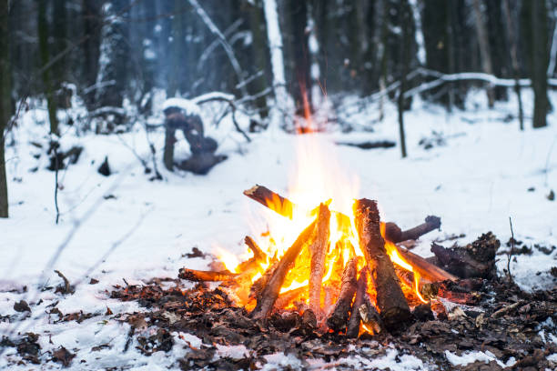 istock Twilight in the forest. Snow around and only campfire lets survive tough time. 667553880