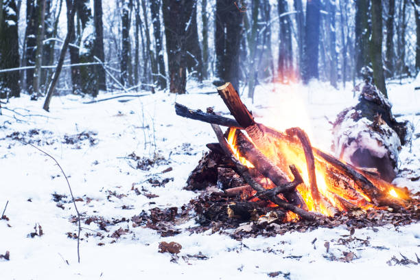 istock Twilight in the forest. Snow around and only campfire lets survive tough time. 667553890
