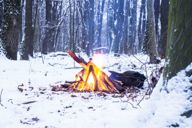 istock Twilight in the forest. Snow around and only campfire lets survive tough time. 667553902