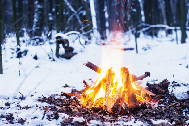 istock Twilight in the forest. Snow around and only campfire lets survive tough time. 667553904