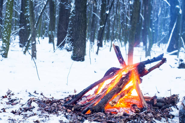istock Twilight in the forest. Snow around and only campfire lets survive tough time. 667553910