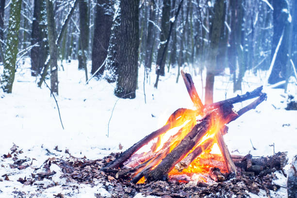 istock Twilight in the forest. Snow around and only campfire lets survive tough time. 667553914