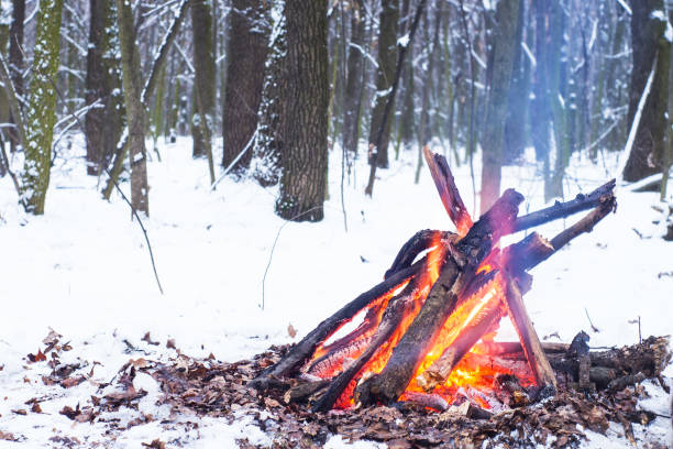 istock Twilight in the forest. Snow around and only campfire lets survive tough time. 667553922