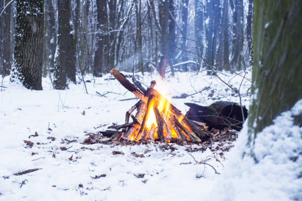 istock Twilight in the forest. Snow around and only campfire lets survive tough time. 667553936