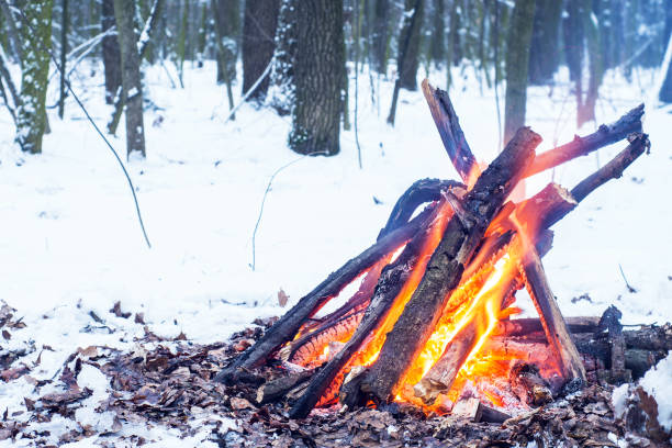 istock Twilight in the forest. Snow around and only campfire lets survive tough time. 667553966