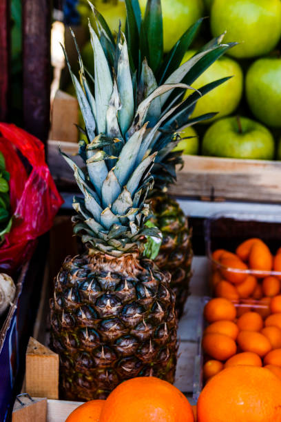 istock Fruits in the market place 667556920