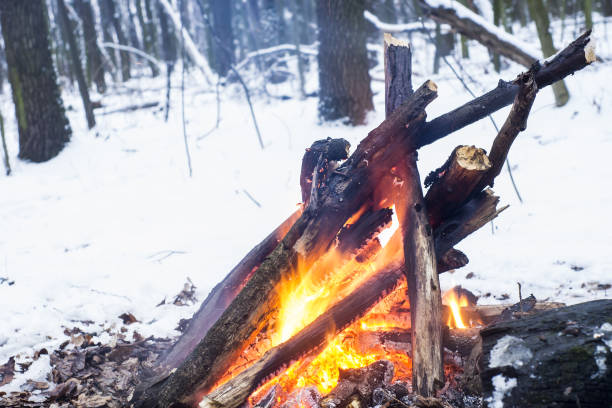 istock Twilight in the forest. Snow around and only campfire lets survive tough time. 667557634