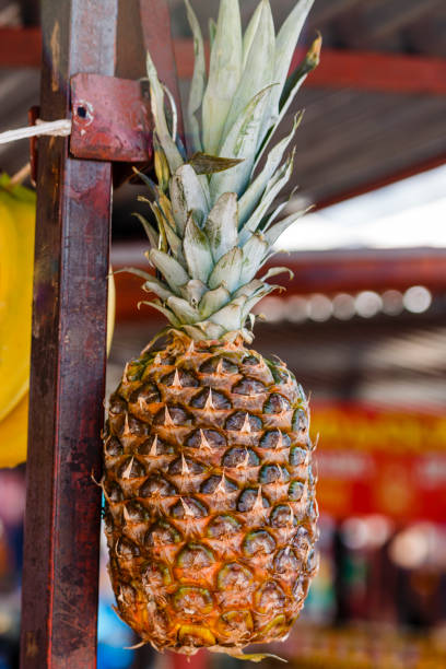 istock Fruits in the market place 667560220